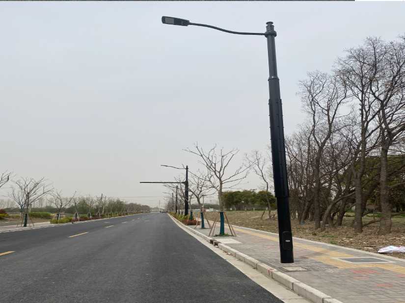 牡丹区上海综合杆 太阳能路灯工程